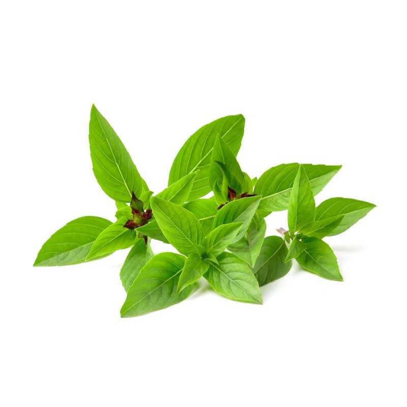 Basilic doux - Horapa leaf 100g