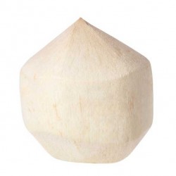 noix de coco fraiche 