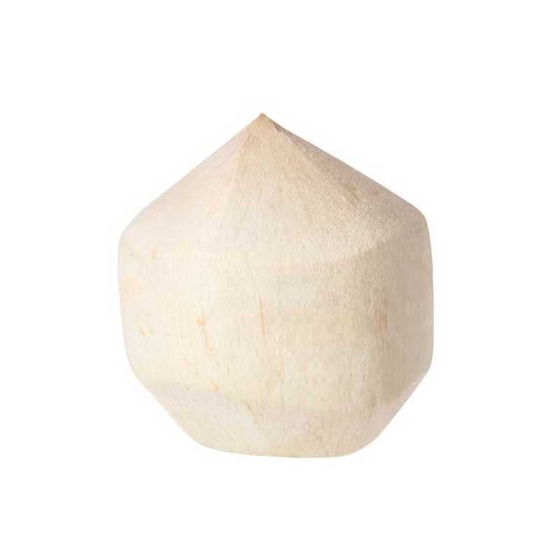 noix de coco fraiche 
