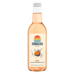 Kombucha Saveur Mangue -...