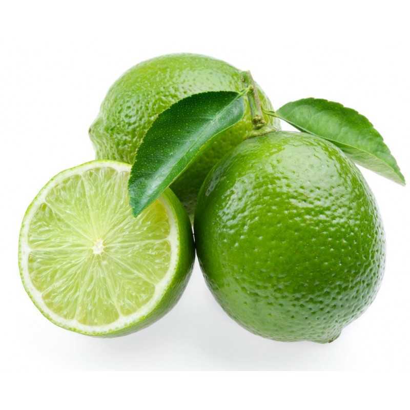 Citron vert - lime 1 pièce